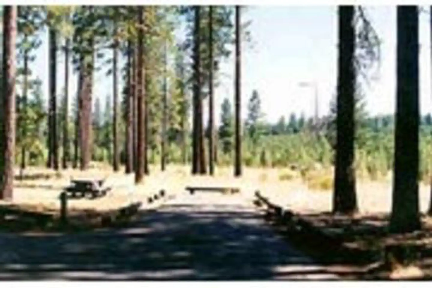 EAGLE CAMPGROUND photo 3