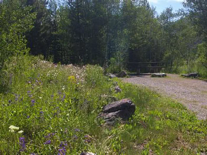 EASLEY CAMPGROUND photo 2