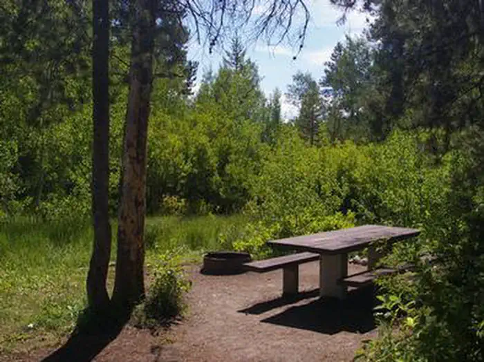 EASLEY CAMPGROUND photo 3