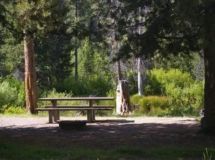 EASLEY CAMPGROUND photo 5