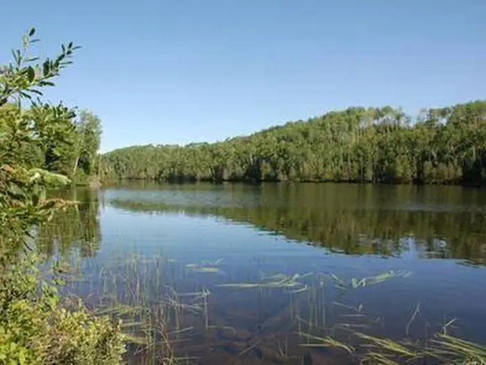EAST BEARSKIN LAKE CAMPGROUND photo 2