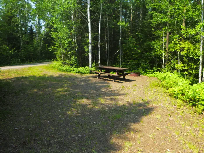 EAST BEARSKIN LAKE CAMPGROUND photo 3
