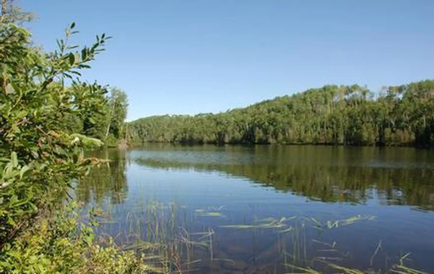 EAST BEARSKIN LAKE CAMPGROUND photo 4