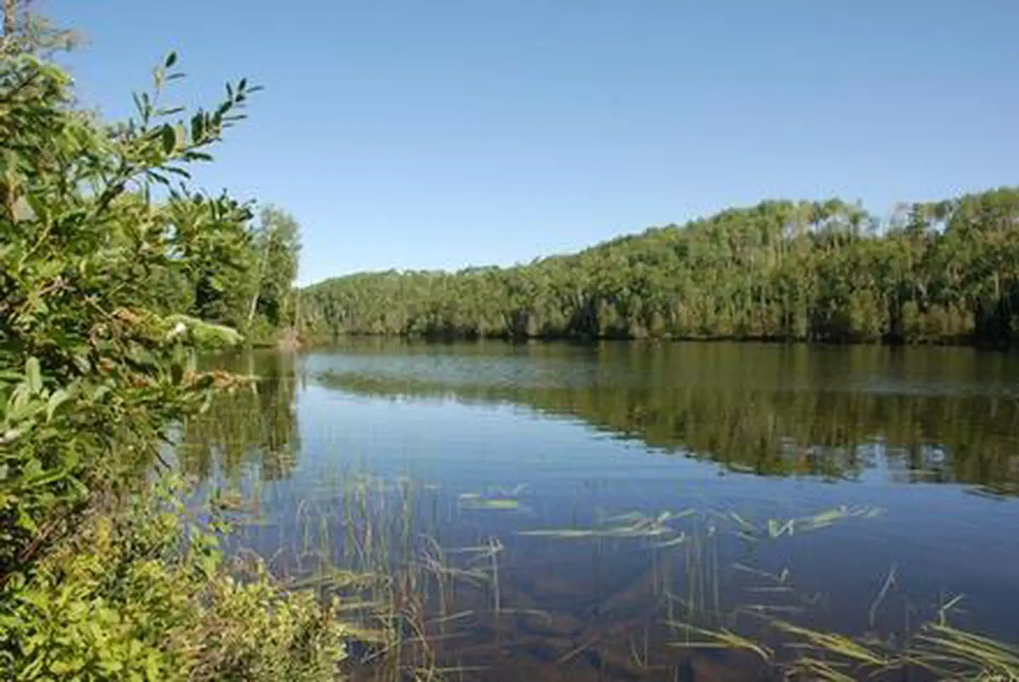 EAST BEARSKIN LAKE CAMPGROUND photo 5