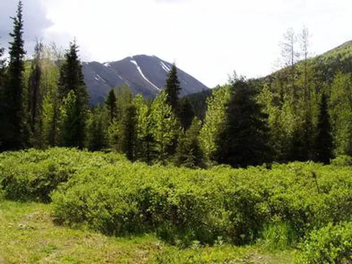 EAST CREEK CABIN photo 4