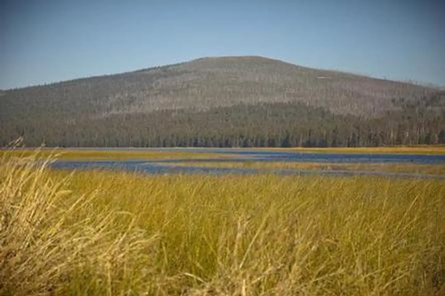 EAST DAVIS CAMPGROUND photo 4