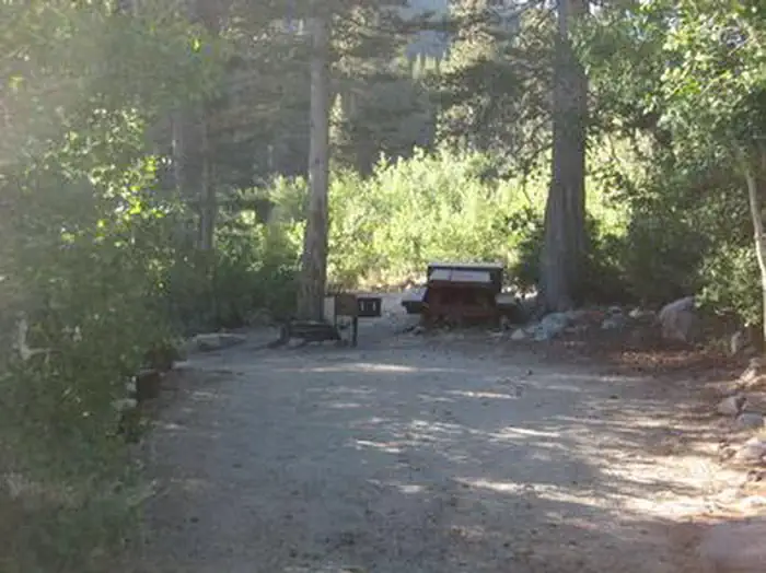 East Fork Campground – Inyo National Forest (CA) photo 2