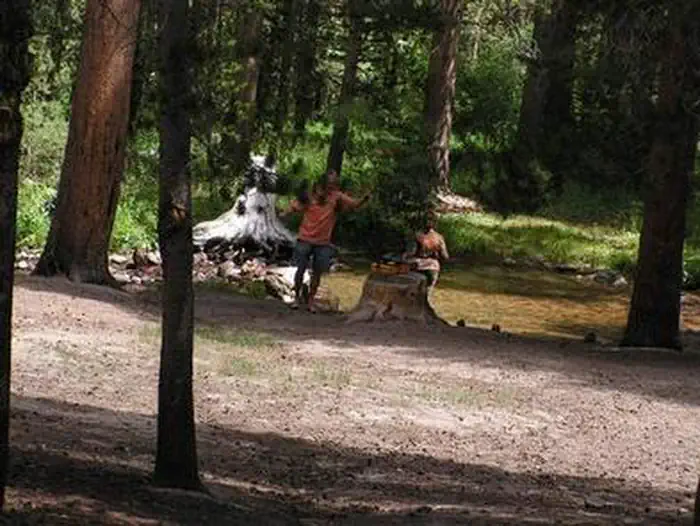 East Fork Campground – Inyo National Forest (CA) photo 4
