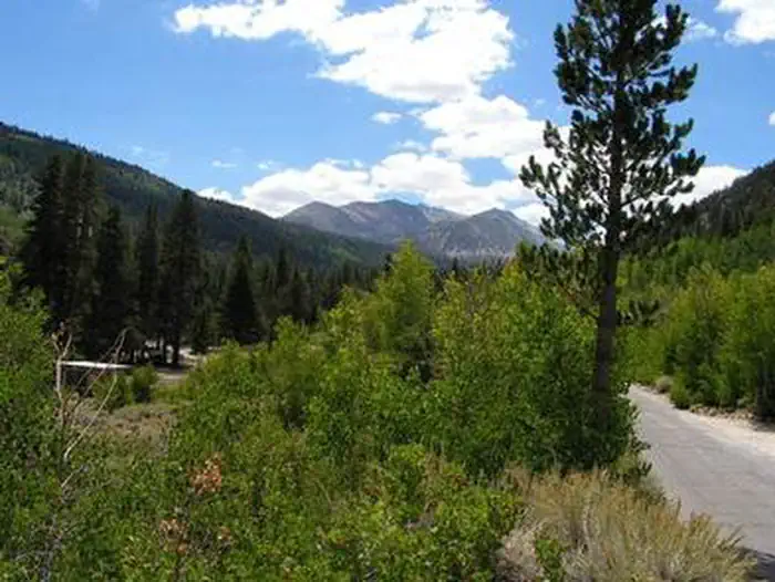 East Fork Campground – Inyo National Forest (CA) photo 5
