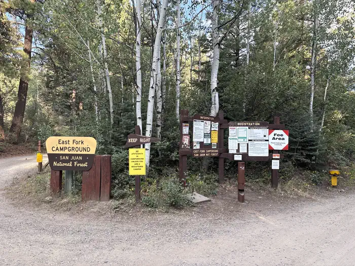 East Fork Campground (San Juan NF - CO) photo