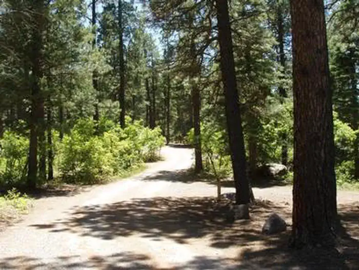East Fork Campground (San Juan NF - CO) photo 4