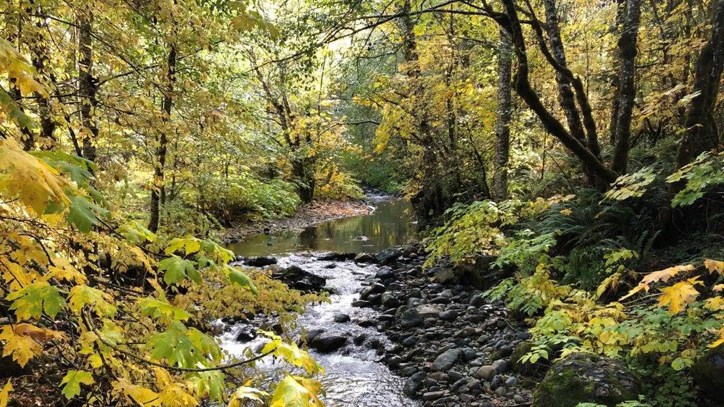 East Fork Campground – Six Rivers NF (CA) photo