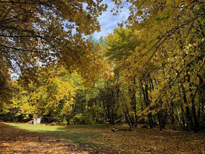 East Fork Campground – Six Rivers NF (CA) photo 3