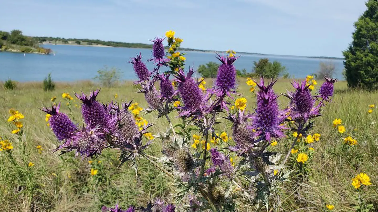 EAST FORK (TX) photo