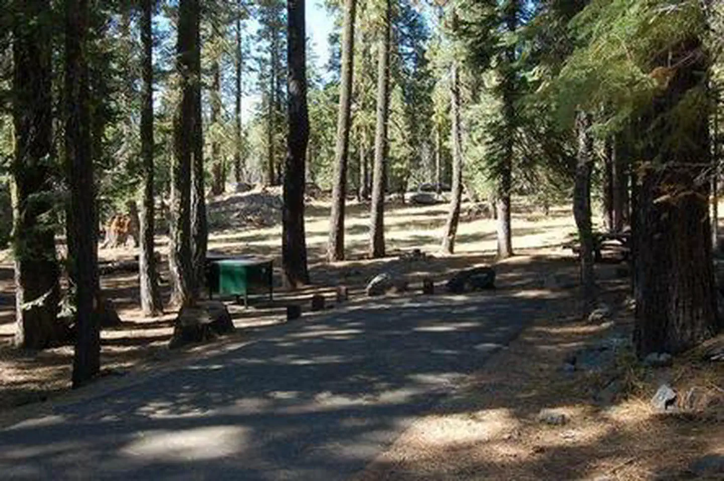 EAST MEADOW CAMPGROUND photo 5