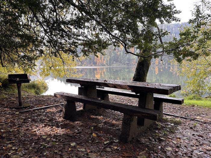 East Shore Campground OR photo 2