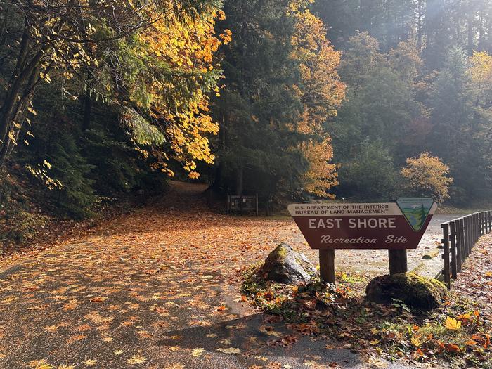 East Shore Campground OR photo 4