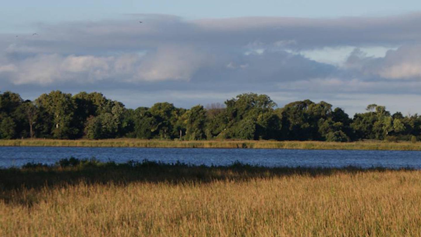 Eastern Neck National Wildlife Refuge (NWR) Permits photo