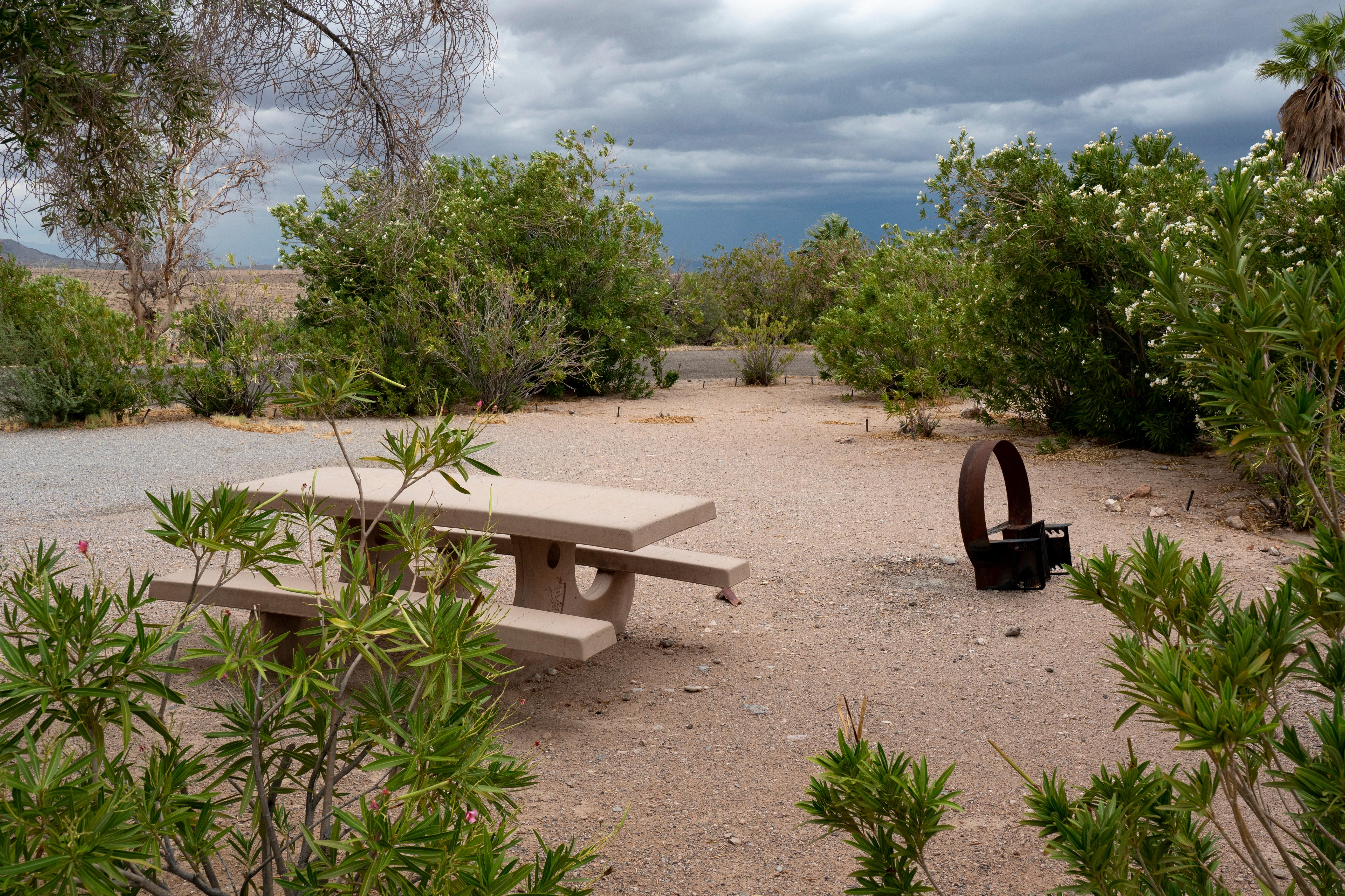 Echo Bay Campground photo