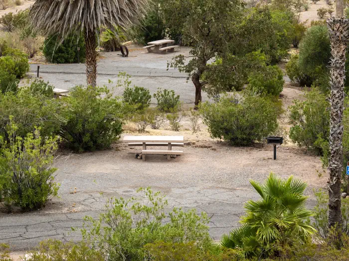 Echo Bay Campground photo 3