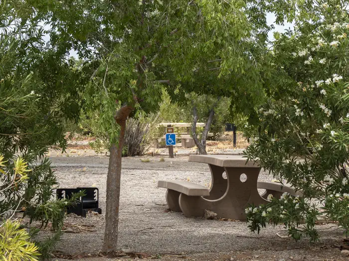 Echo Bay Campground photo 5