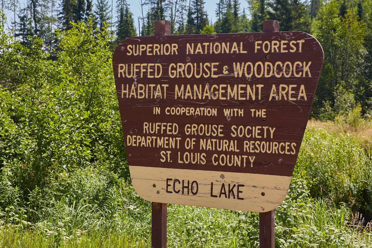 ECHO LAKE (MINN) photo 5