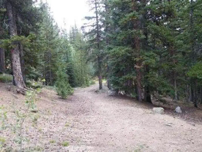 ECHO LAKE photo 3