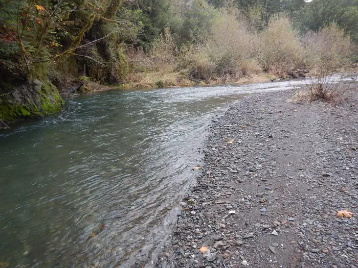 Edson Creek Campground (OR) photo 2