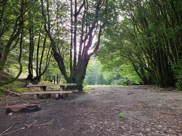 Edson Creek Campground (OR) photo 4