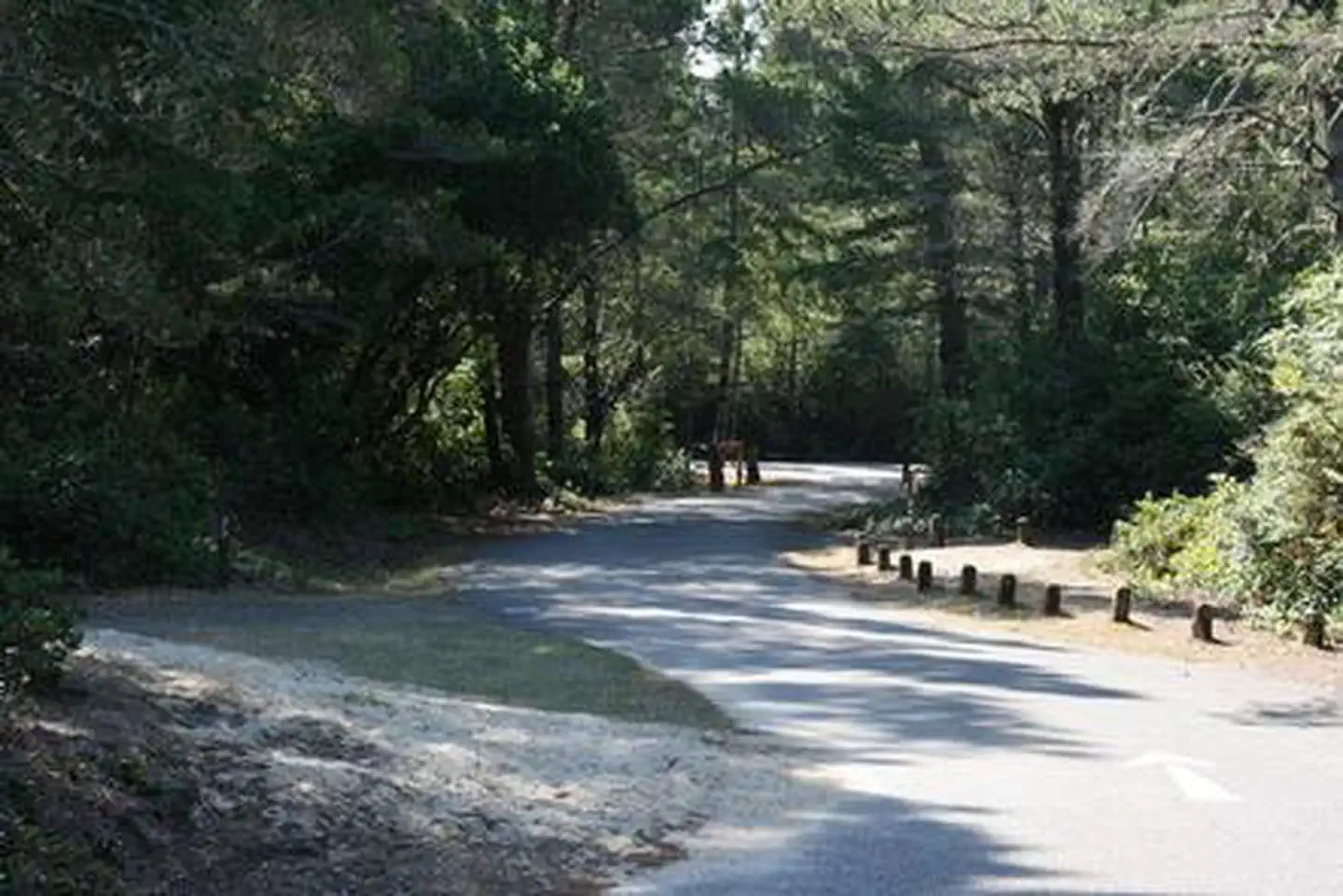 EEL CREEK CAMPGROUND photo