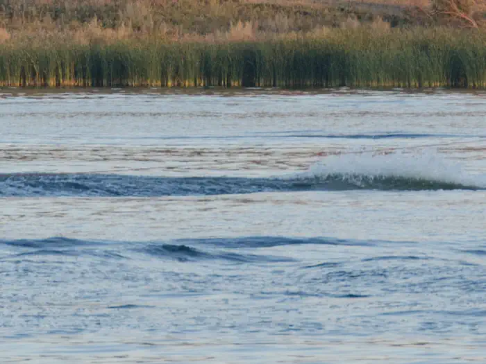 EGGERTS LANDING photo 4