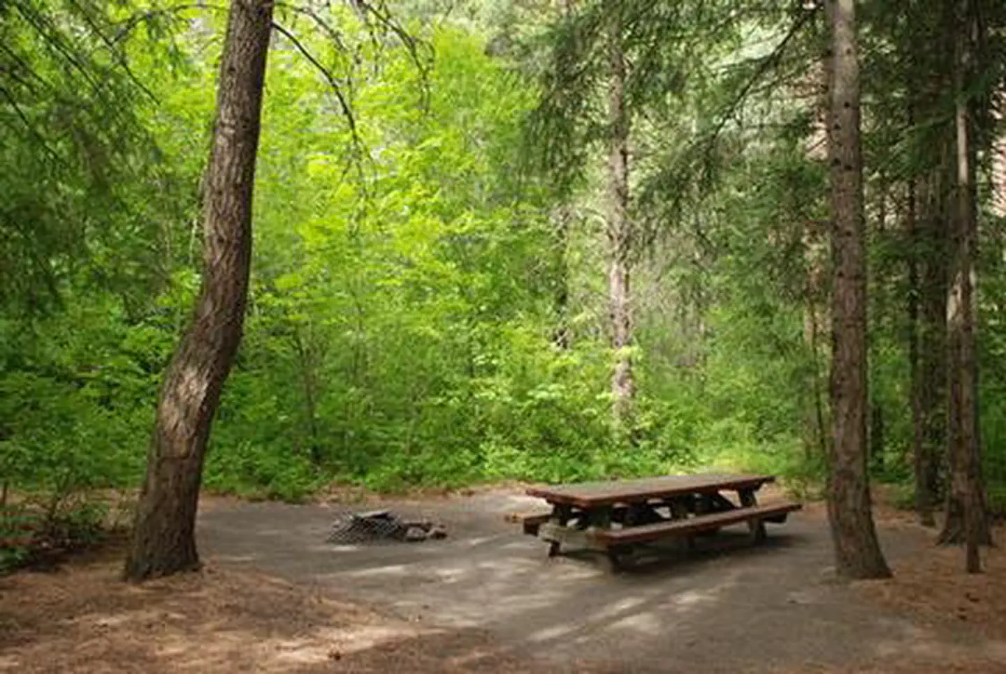 EIGHTMILE GROUP SITE photo 2