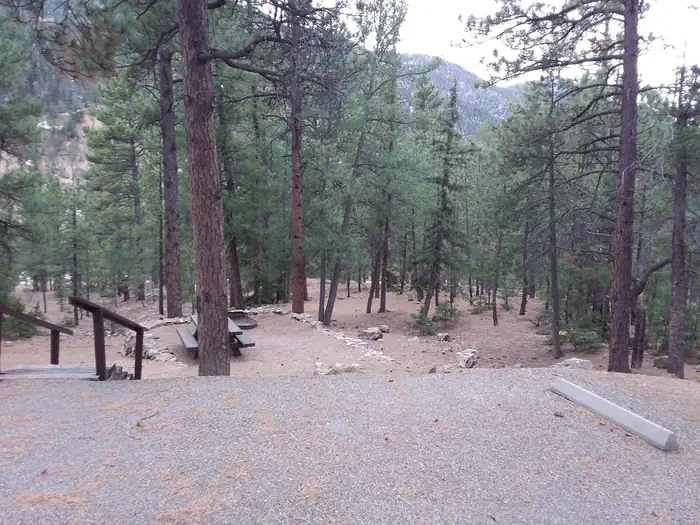 ELEPHANT ROCK CAMPGROUND photo 4