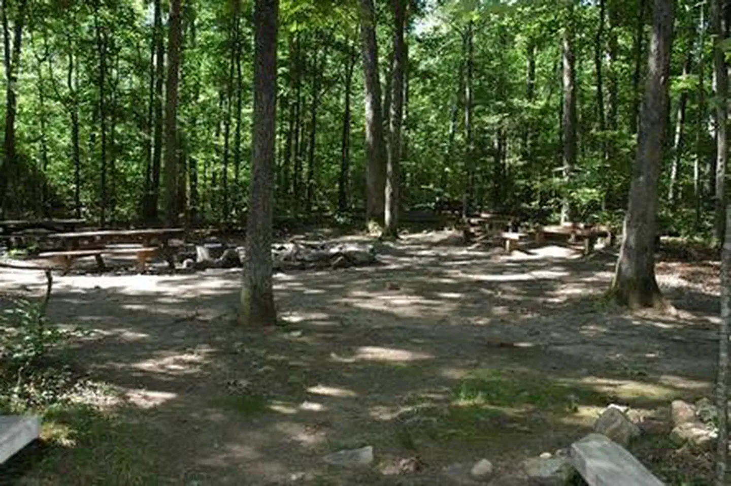 ELIZABETH FURNACE GROUP CAMP photo