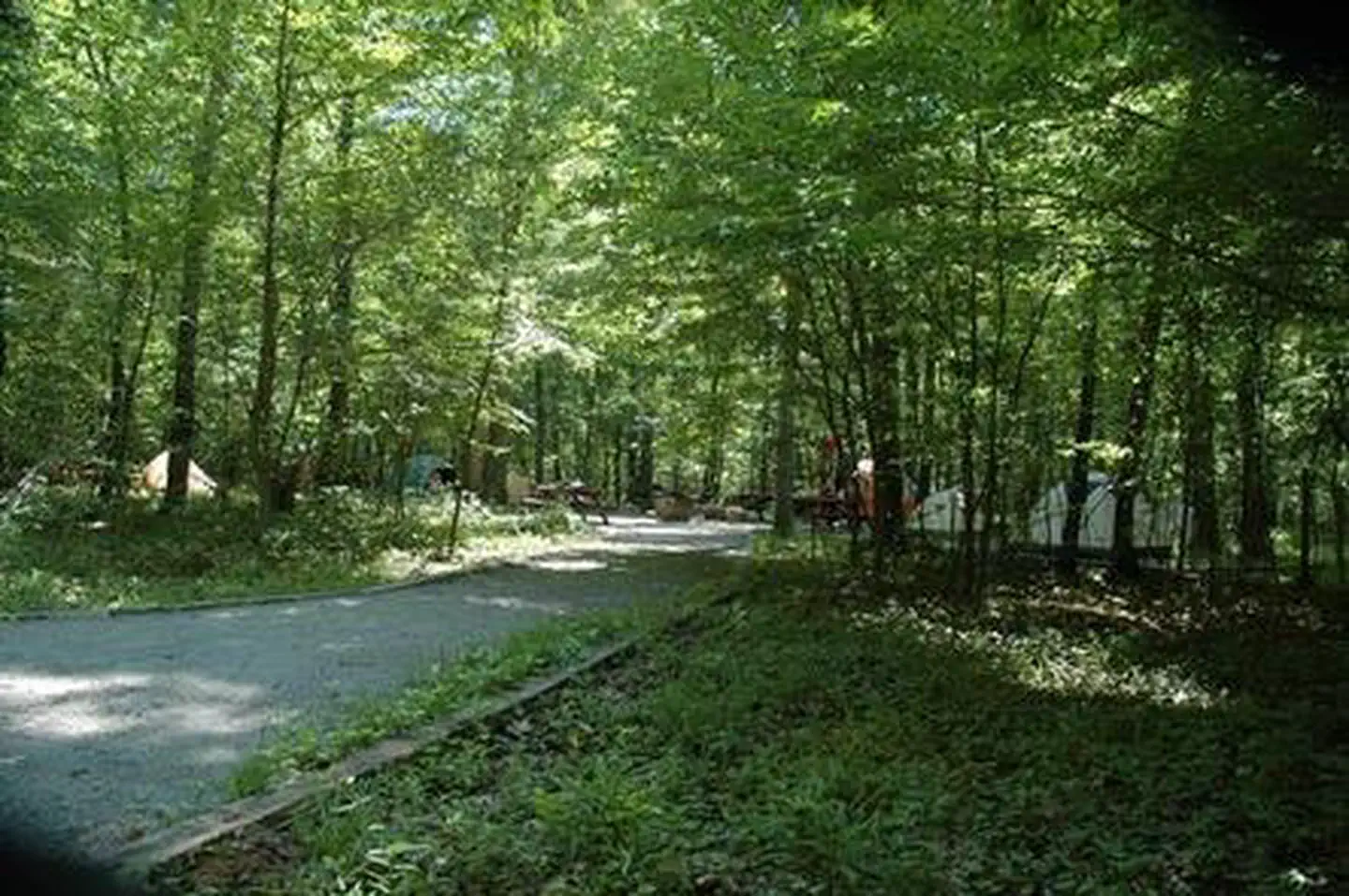ELIZABETH FURNACE GROUP CAMP photo 2