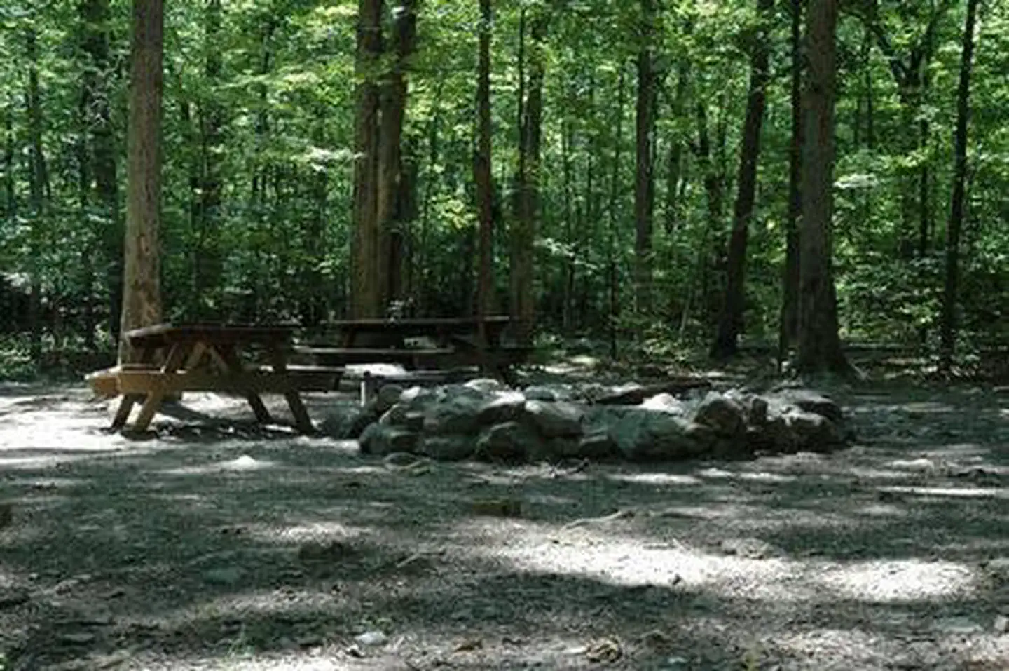 ELIZABETH FURNACE GROUP CAMP photo 5