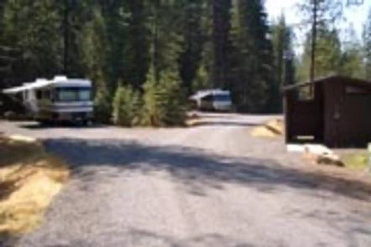 ELK CREEK CAMPGROUND (CLEARWATER NF) photo
