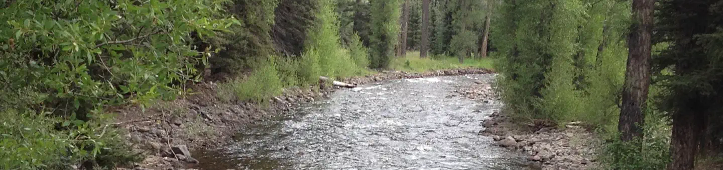 ELK CREEK CAMPGROUND (RIO GRANDE NF) photo