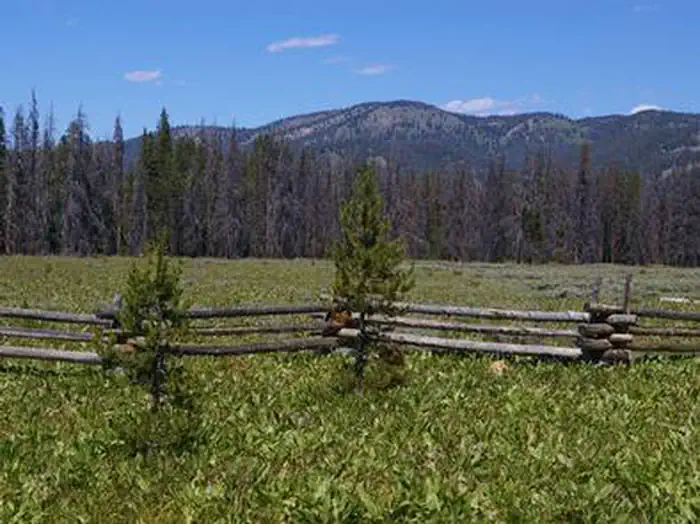 ELK CREEK CAMPGROUND (SAWTOOTH NF) photo