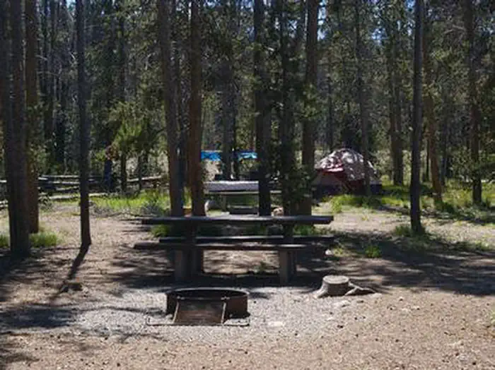 ELK CREEK CAMPGROUND (SAWTOOTH NF) photo 5