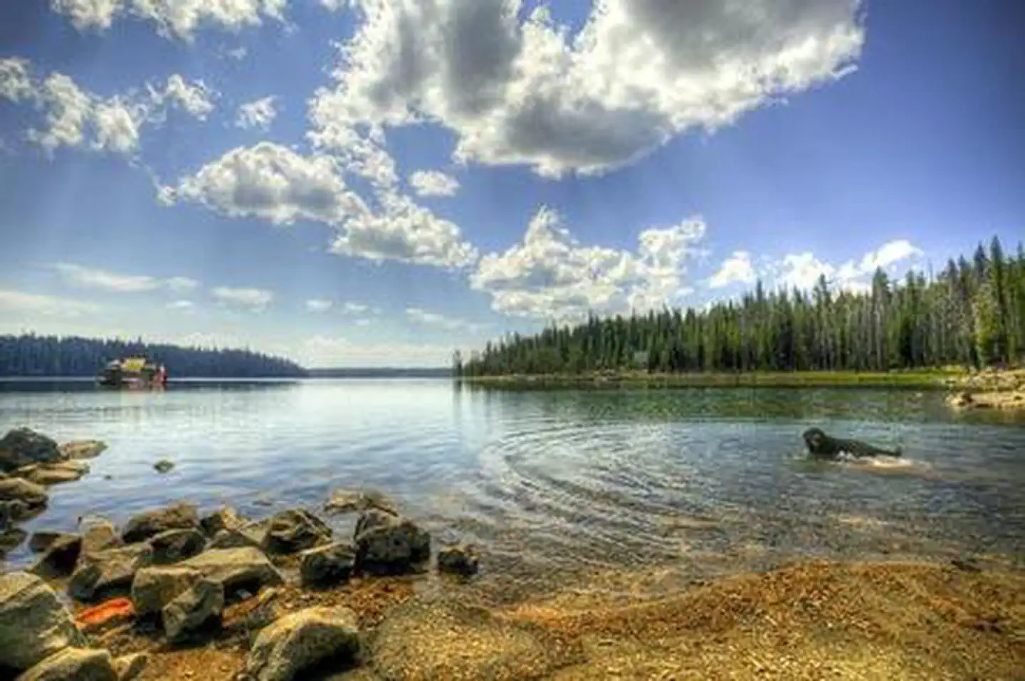 ELK LAKE CAMPGROUND photo 5