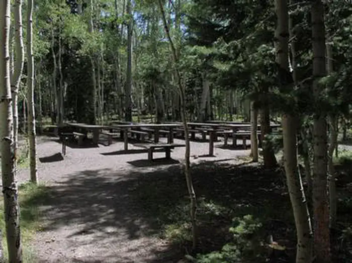 ELKHORN CAMPGROUND photo 2