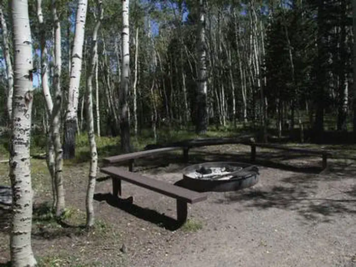 ELKHORN CAMPGROUND photo 5