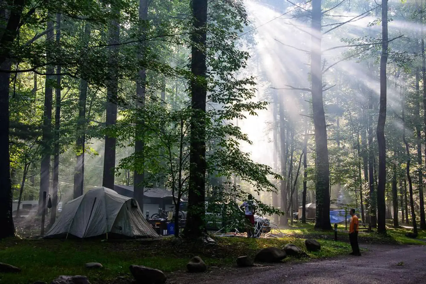 ELKMONT CAMPGROUND photo 2