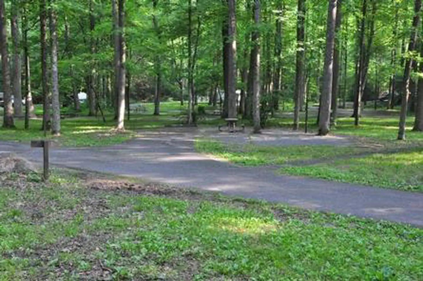 ELKMONT CAMPGROUND photo 4