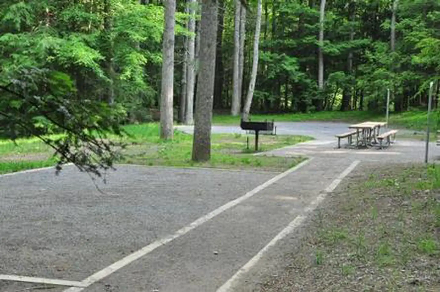 ELKMONT GROUP CAMP photo