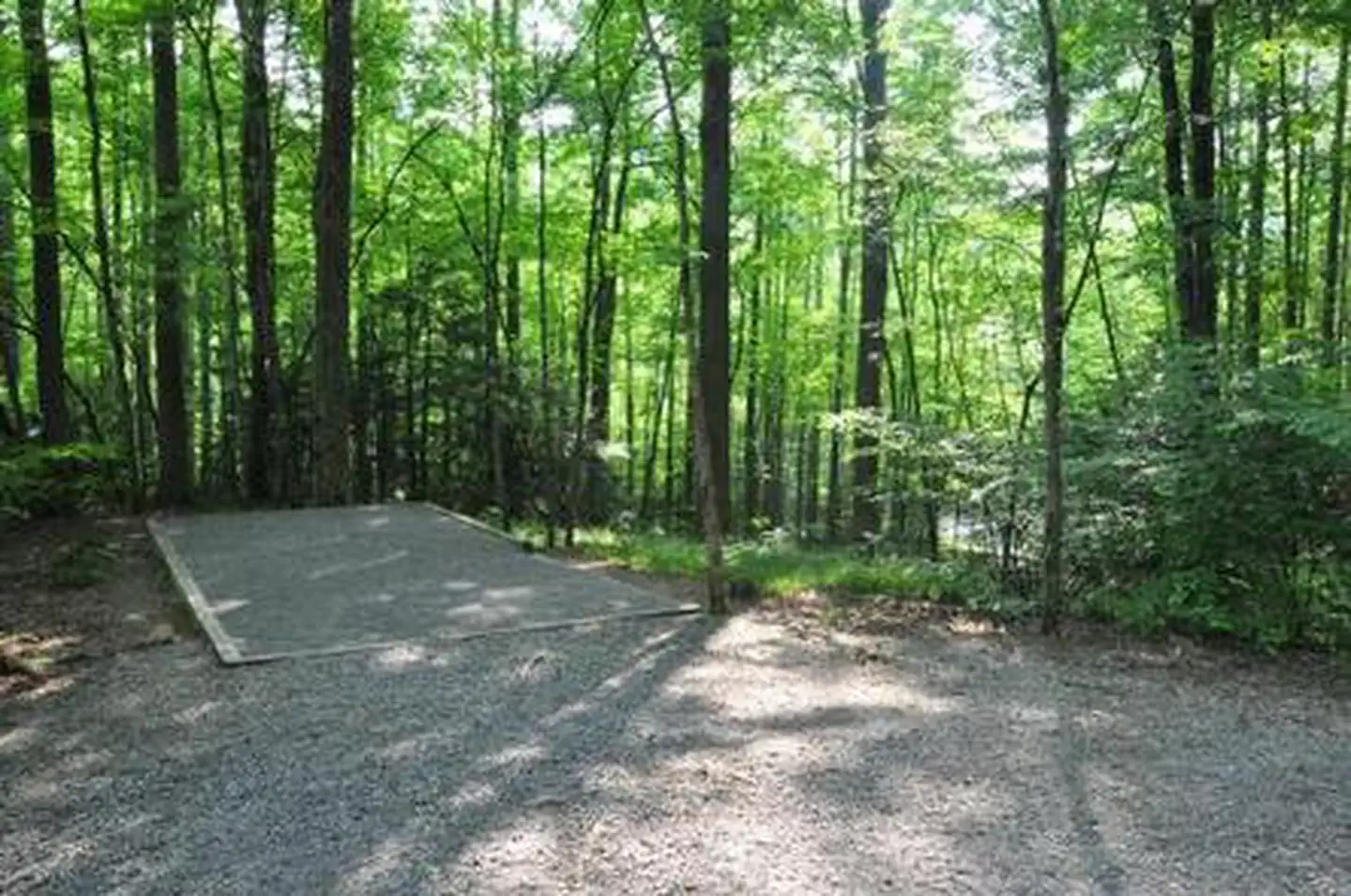 ELKMONT GROUP CAMP photo 2