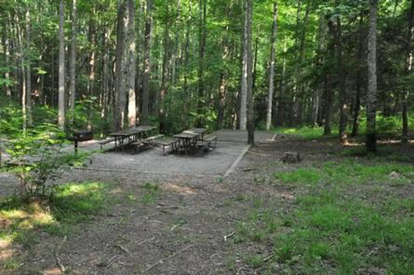 ELKMONT GROUP CAMP photo 4