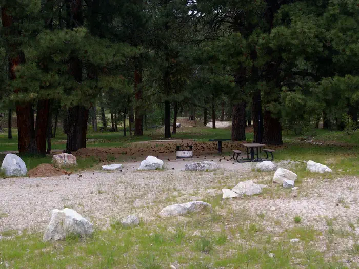 ELKS FLAT CAMPGROUND photo 2
