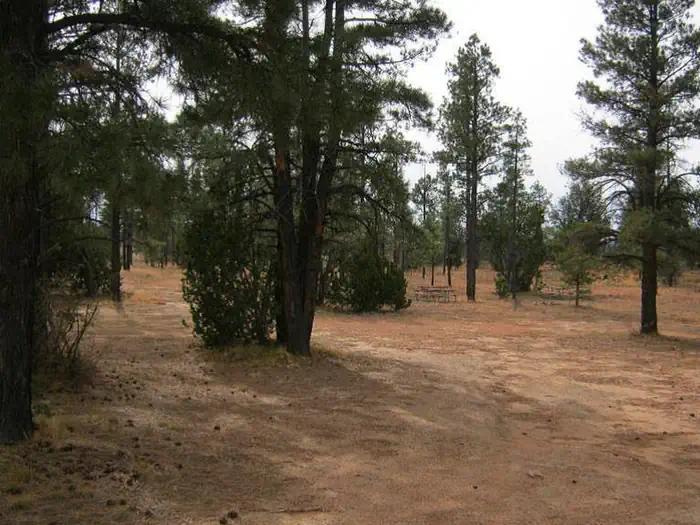 Elks Group Campground photo 5